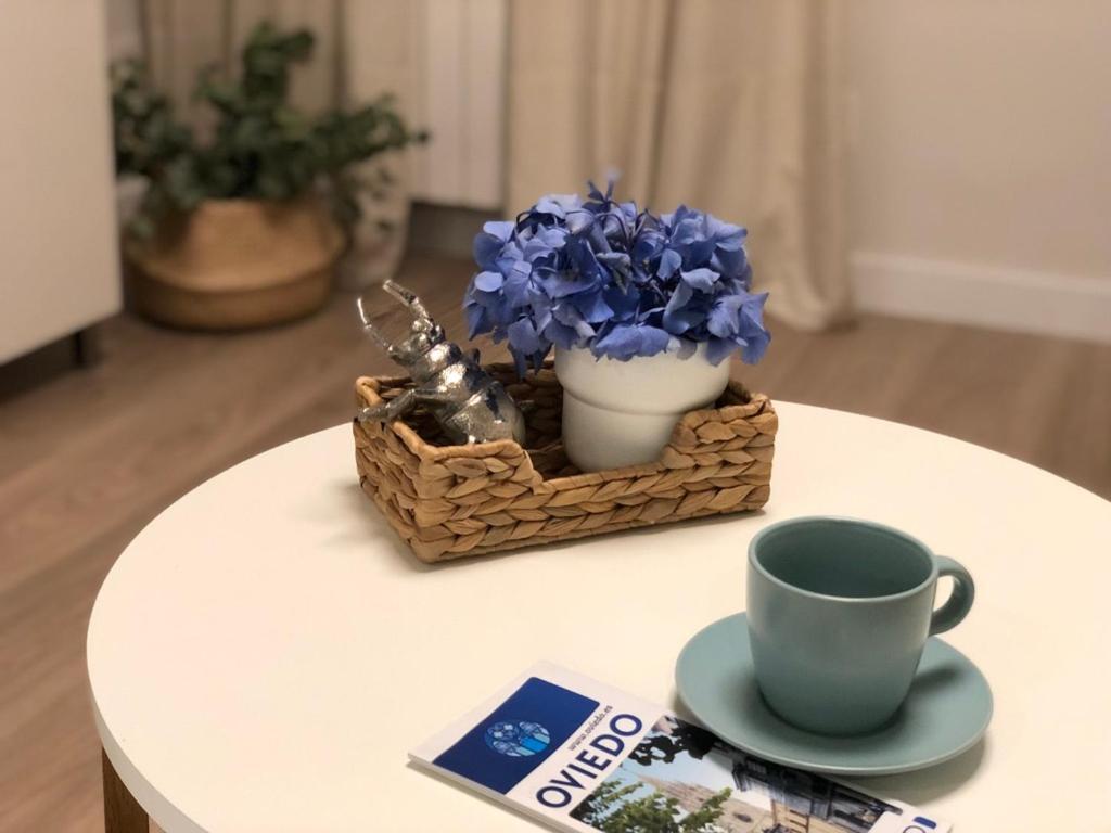 Casa Gueelita Apartment Oviedo Ngoại thất bức ảnh